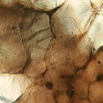 clinker luce trasmessa