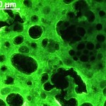 deposito organico in fluorescenza