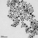 Au nanoparticelle